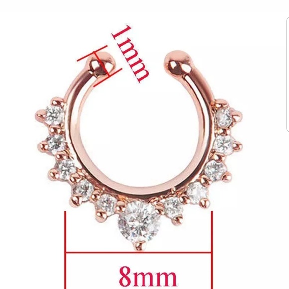 Nose septum faux rings one each only - Picture 3 of 6